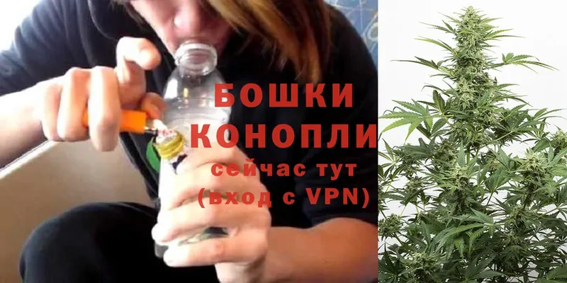 MEGA сайт  Правдинск  даркнет как зайти  Марихуана SATIVA & INDICA 